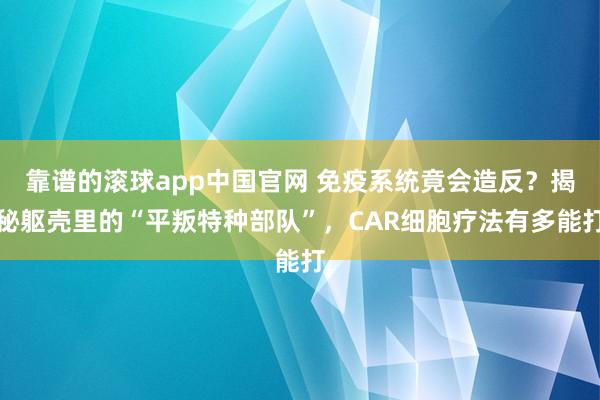 靠谱的滚球app中国官网 免疫系统竟会造反？揭秘躯壳里的“平叛特种部队”，CAR细胞疗法有多能打