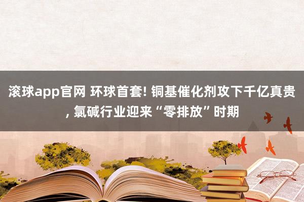 滚球app官网 环球首套! 铜基催化剂攻下千亿真贵， 氯碱行业迎来“零排放”时期