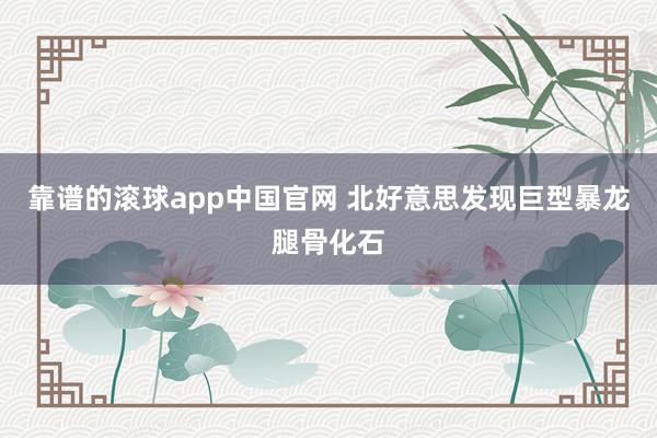 靠谱的滚球app中国官网 北好意思发现巨型暴龙腿骨化石