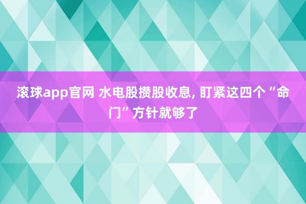 滚球app官网 水电股攒股收息， 盯紧这四个“命门”方针就够了