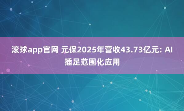 滚球app官网 元保2025年营收43.73亿元: AI插足范围化应用
