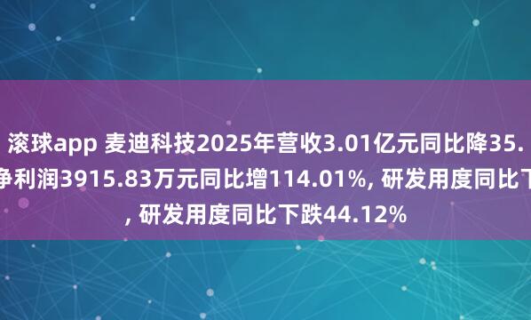 滚球app 麦迪科技2025年营收3.01亿元同比降35.04%， 归母净利润3915.83万元同比增114.01%， 研发用度同比下跌44.12%