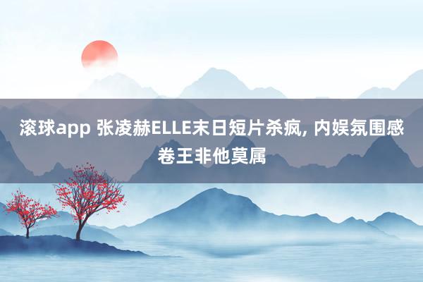 滚球app 张凌赫ELLE末日短片杀疯， 内娱氛围感卷王非他莫属