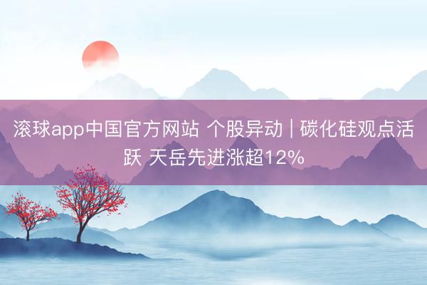 滚球app中国官方网站 个股异动 | 碳化硅观点活跃 天岳先进涨超12%