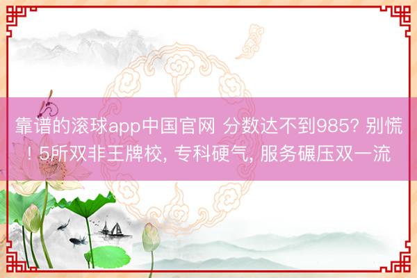 靠谱的滚球app中国官网 分数达不到985? 别慌! 5所双非王牌校， 专科硬气， 服务碾压双一流