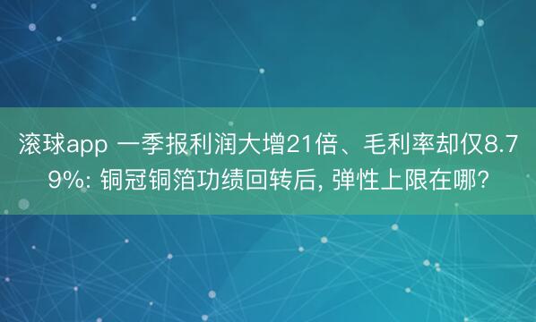 滚球app 一季报利润大增21倍、毛利率却仅8.79%: 铜冠铜箔功绩回转后， 弹性上限在哪?