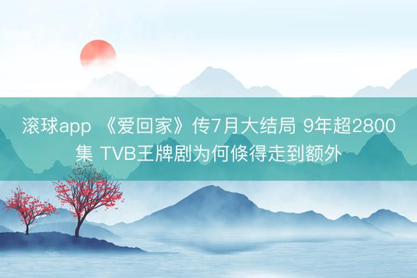 滚球app 《爱回家》传7月大结局 9年超2800集 TVB王牌剧为何倏得走到额外