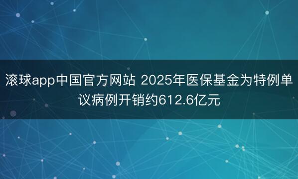 滚球app中国官方网站 2025年医保基金为特例单议病例开销约612.6亿元