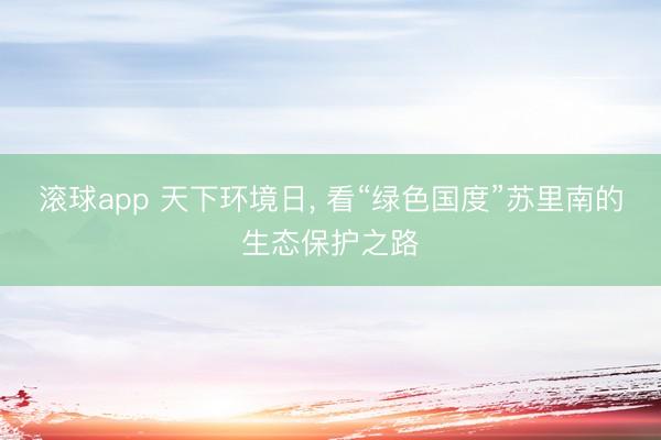 滚球app 天下环境日， 看“绿色国度”苏里南的生态保护之路