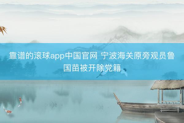 靠谱的滚球app中国官网 宁波海关原旁观员鲁国苗被开除党籍