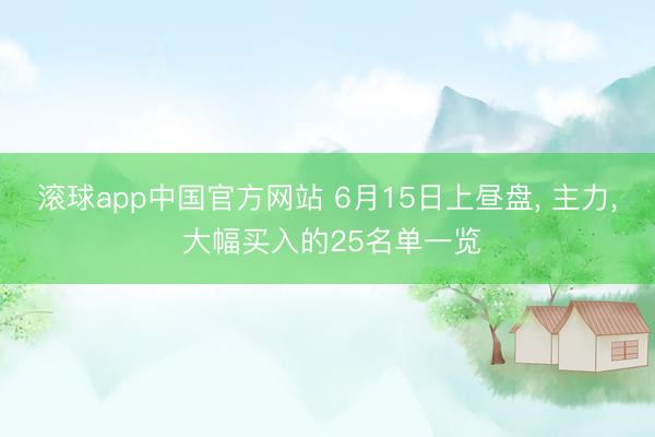 滚球app中国官方网站 6月15日上昼盘， 主力， 大幅买入的25名单一览